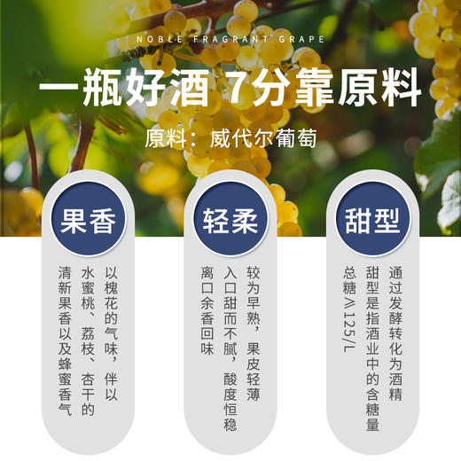 【中国农垦】西夏王 阳台系列-冰白葡萄酒 女士低度甜酒微醺冰白甜型冰酒 750ml 商品图3