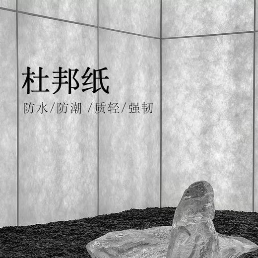 杜邦纸 商品图0