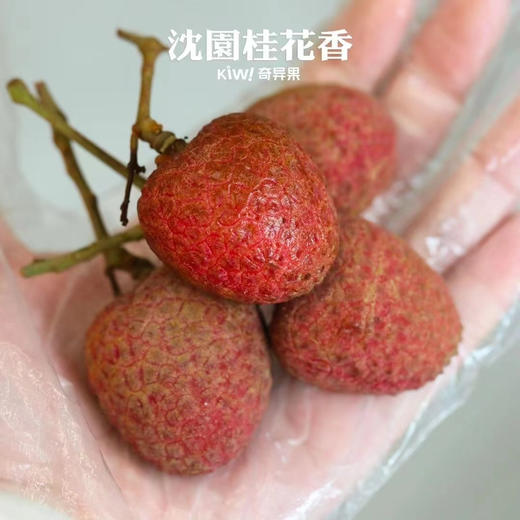 空运桂花香荔枝 商品图3