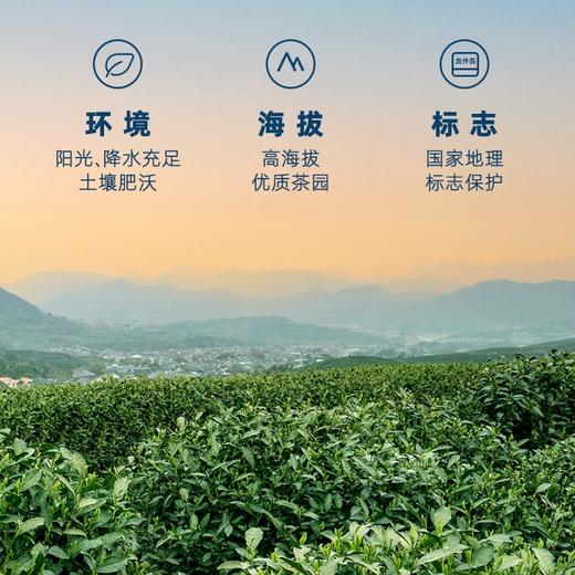 【2025新茶上市】艺福堂茶叶早春龙井茶50g*2明前特级钱塘头采 商品图4