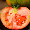 【活动】新疆吐鲁番草莓西红柿  一款能当水果吃的西红柿  新疆番茄 商品缩略图3