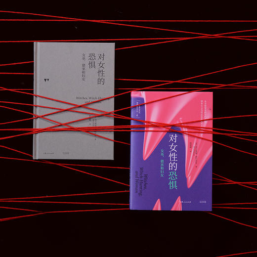 对女性的恐惧：女巫、猎巫和妇女 商品图2
