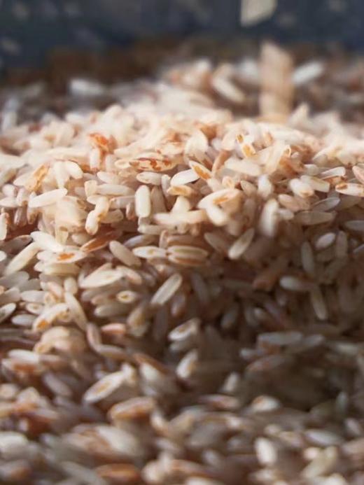 云南梯田古稻【梯田胭脂米】自带天然红曲素 色泽如琥珀 晶莹剔透 口感软香 好吃又营养 满满的花青素 适合女性食用的红米~ 商品图4