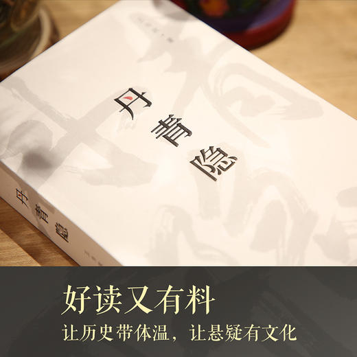 丹青隐（一页史书轻轻翻过，背后多少壮阔人生！） 商品图2