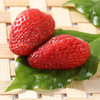 加州原野草莓干60g（W） 商品缩略图3
