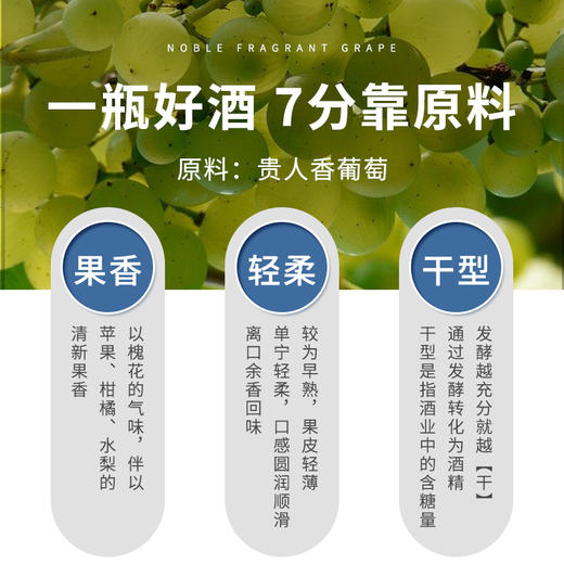 【中国农垦】西夏王 阳台系列-贵人香葡萄酒 女士低度甜酒微醺干白甜型 750ml 商品图3