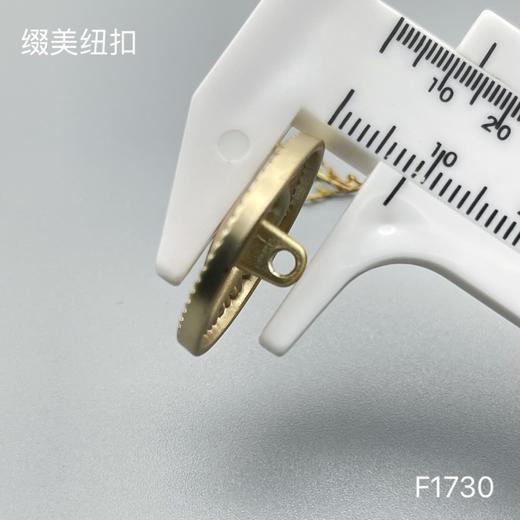 F1730 商品图6