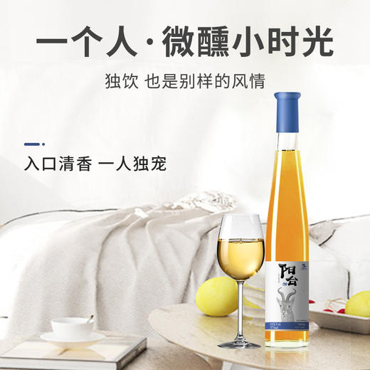 【中国农垦】西夏王 阳台系列-冰白葡萄酒 女士低度甜酒微醺冰白甜型冰酒 750ml 商品图4