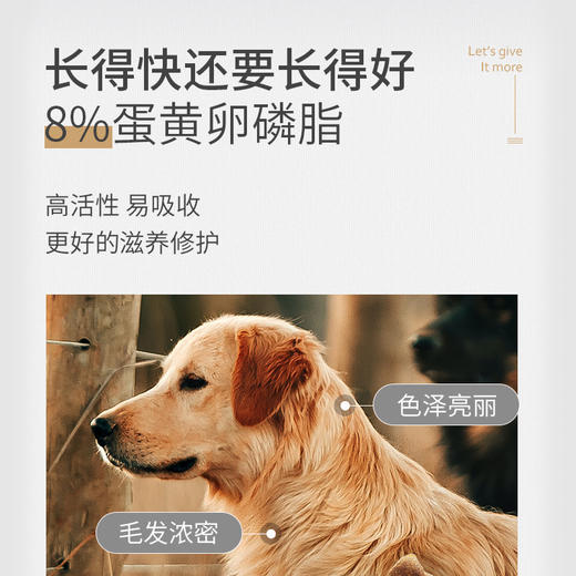 MAG鱼油卵磷脂 犬用450g/猫用350g 升级款 多20%蛋黄美毛少掉毛 商品图5