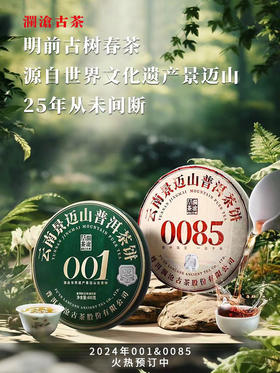 景迈山的成熟和鲜香，就在这两款标杆作品里