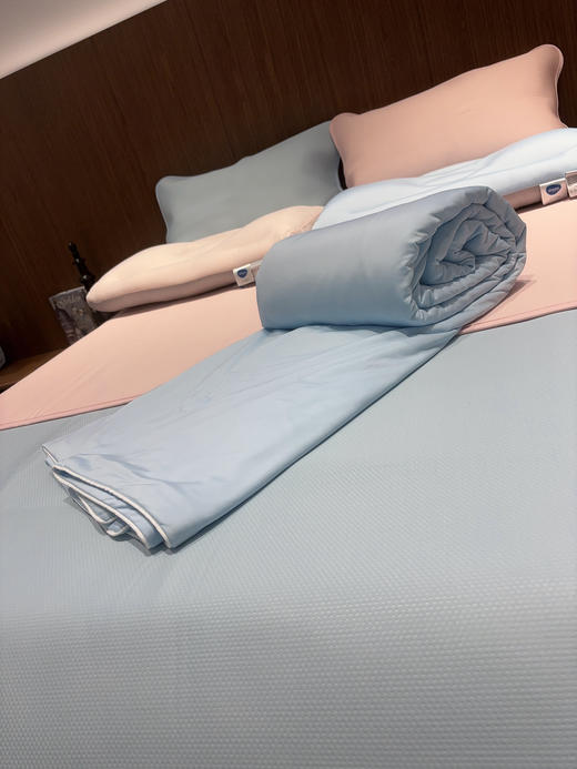 【凉感凉被】SCHIESSER LIVING舒雅生活之夏凉感凉被121000240100粉54/55/杏58/59 商品图1