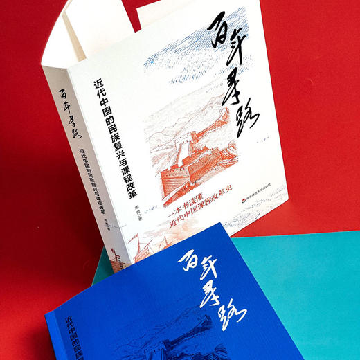 百年寻路 近代中国的民族复兴与课程改革 周勇 商品图12