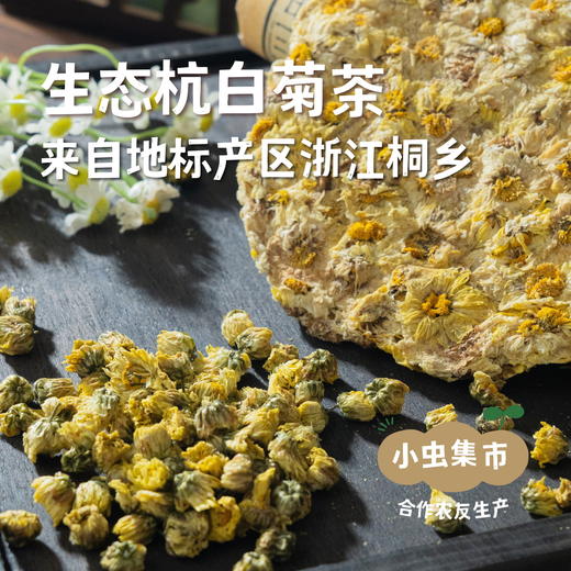 生态杭白菊茶 | 合作农友生产，产自浙江桐乡，生产者：梅玉惠 于建刚 &【公平贸易农人定价】 商品图0