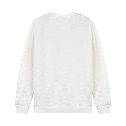 【限时折扣】HX 春秋季圆领卫衣Y106410027101/02 商品图5