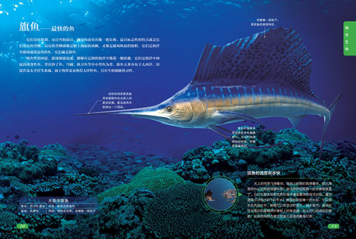海洋世界的奥秘 商品图3