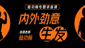 陆功翰专题课【内外劲意生发】