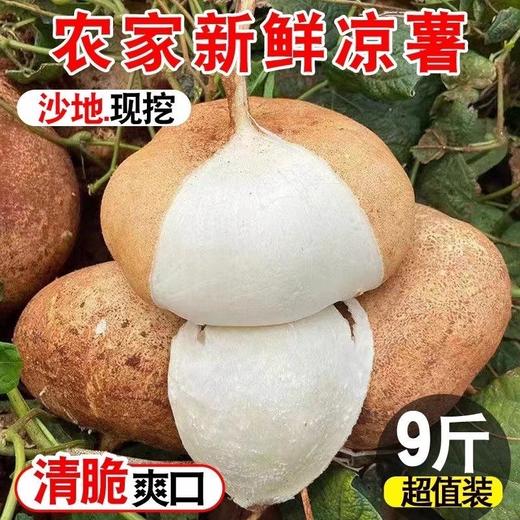 【沙地现挖！凉薯地瓜9斤更超值】农家自种，香甜可口，新鲜营养，果汁多而甜！白地瓜脆甜时令生吃水果孕妇沙葛 商品图0