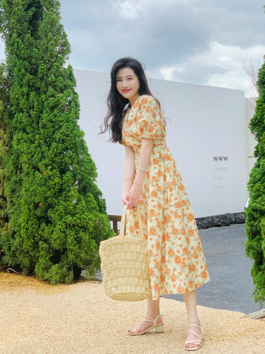 【百图lulu定制】【画廊连衣裙】夏季  高腰 V领 印花短袖连衣裙 商品图9