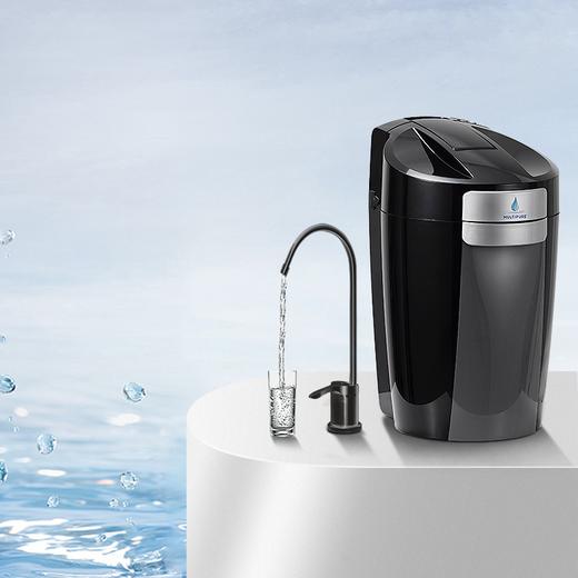 原装美国进口珍浦净水器美而浦厨房家用直饮水机 净水量2.8-8千升 商品图0