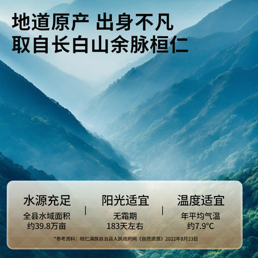 【正宗同仁堂品牌】北京同仁堂 青源堂 干制红参片 250克 足干片薄  斜切大片 SY 商品图4