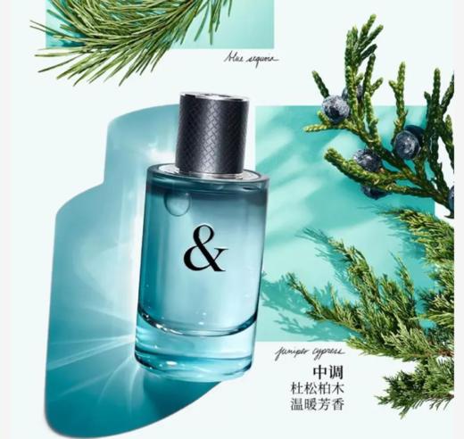 蒂芙尼love誓爱恋爱情侣男士淡香90ml  商品图2