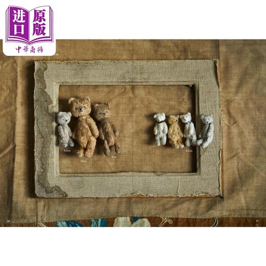 预售 【中商原版】手作精致又可爱的小动物布偶 森田宽子 日文原版 手のひらにのせて楽しむぬいぐるみ 商品图2