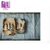 预售 【中商原版】手作精致又可爱的小动物布偶 森田宽子 日文原版 手のひらにのせて楽しむぬいぐるみ 商品缩略图3