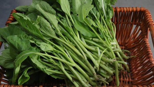 广心菜（400g） 商品图4