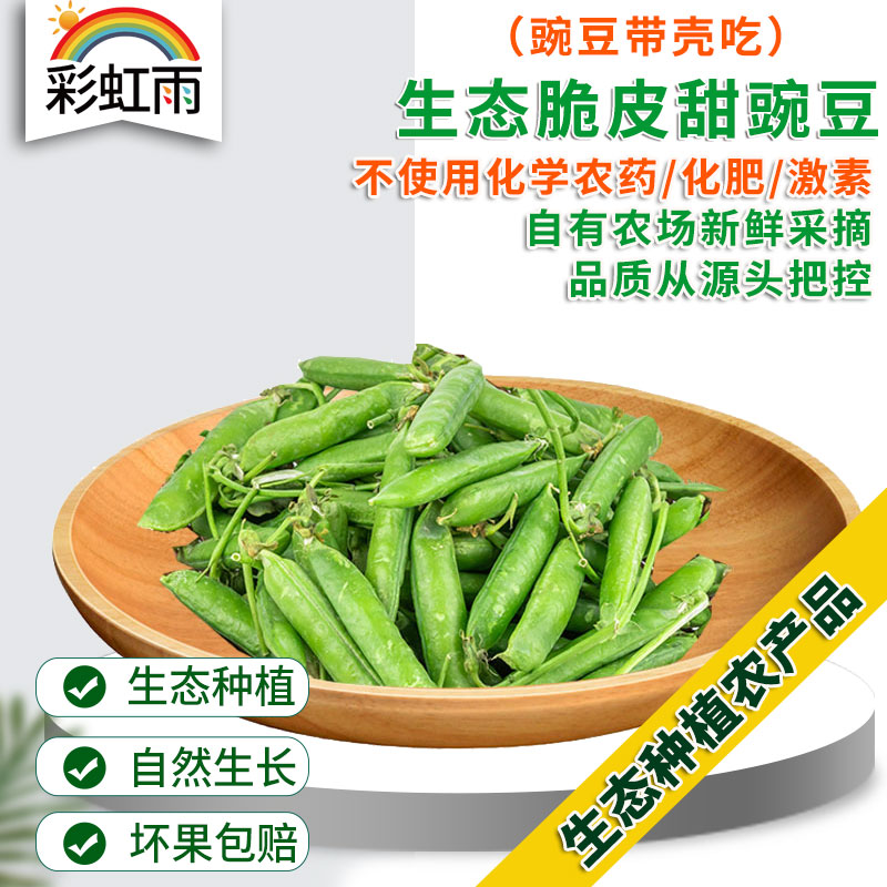 生态蔬菜 脆皮甜豌豆250g（带壳吃）现摘现发京津冀满百包邮