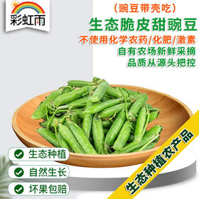 生态蔬菜 脆皮甜豌豆250g（带壳吃）现摘现发京津冀满百包邮