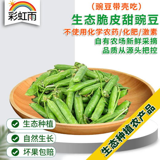 生态蔬菜 脆皮甜豌豆250g（带壳吃）现摘现发京津冀满百包邮 商品图0