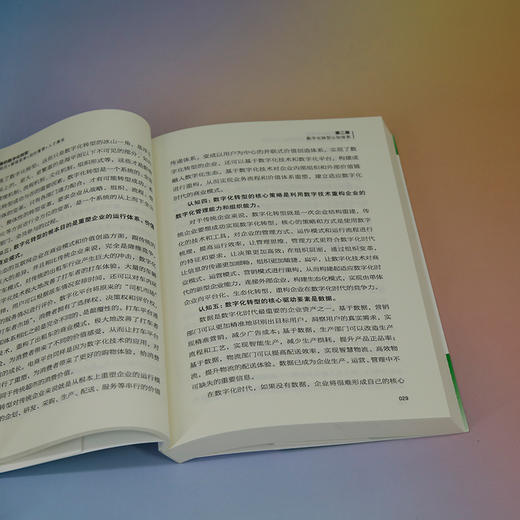管理者的数字化转型：思维跃迁十管理变革十组织重塑十人才激发(王文璐) 商品图4