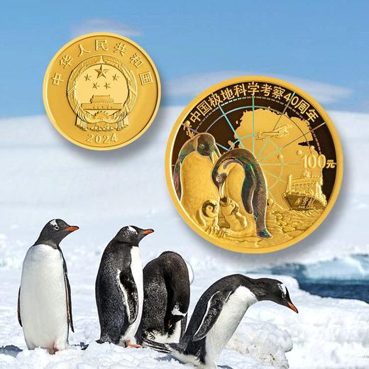 【预定】2024中国极地科学考察金银纪念币 商品图14