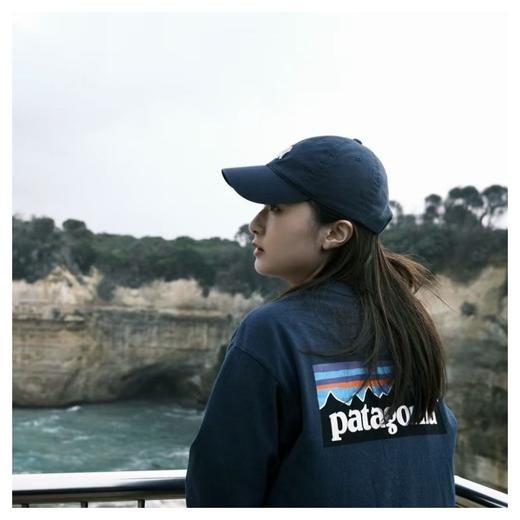 亏清‼️‼️不退换 巴塔 patagoni*女款经典长袖T恤 商品图13