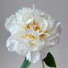 芍药丨奶油碗 商品缩略图2