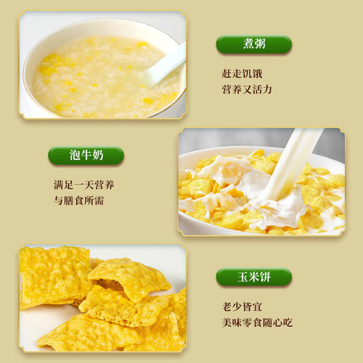 【华中】安徽徽王玉米片200g/袋x3 商品图1