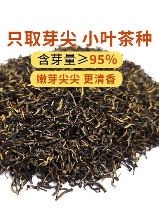 【完税】斯里兰卡 LIONS纯正锡兰红茶（铁盒）100g 商品图1