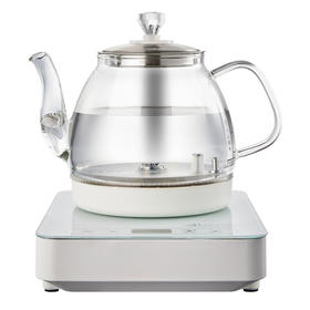 艾贝丽（Abereve）电水壶  1350W大功率烧水壶ABL-B09