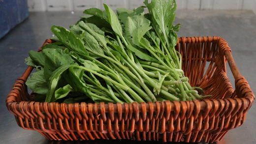 广心菜（400g） 商品图3