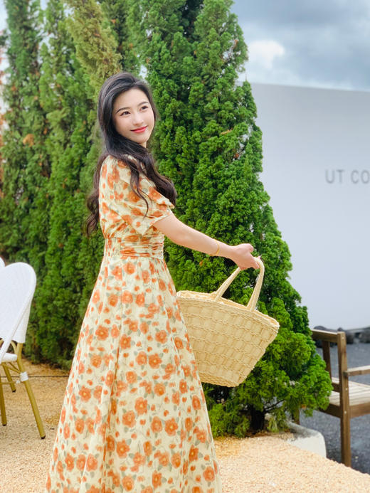 【百图lulu定制】【画廊连衣裙】夏季  高腰 V领 印花短袖连衣裙 商品图6