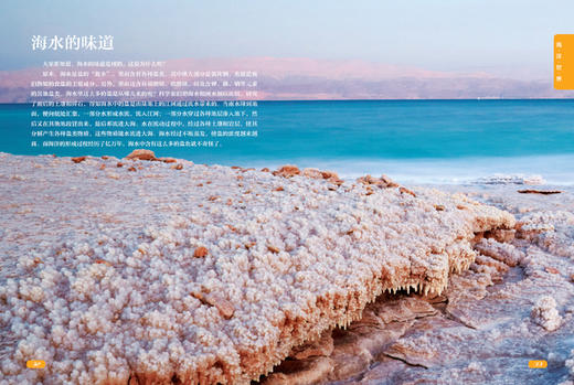 海洋世界的奥秘 商品图1