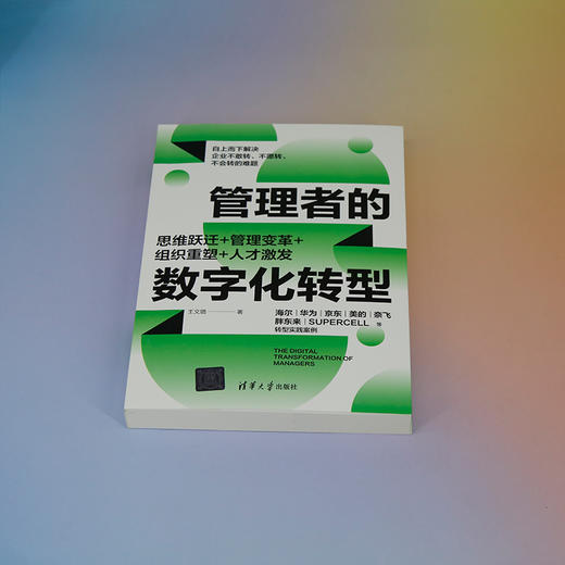 管理者的数字化转型：思维跃迁十管理变革十组织重塑十人才激发(王文璐) 商品图1