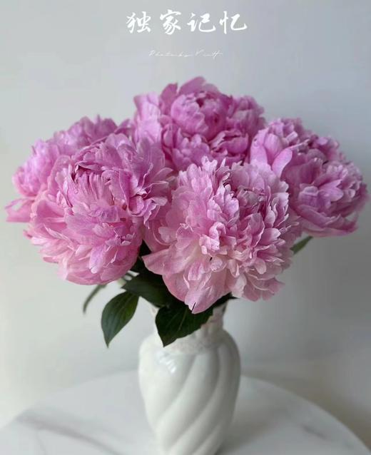 【A级进口芍药品种】5支/份 买2份减10元 一年仅此一季 商品图4