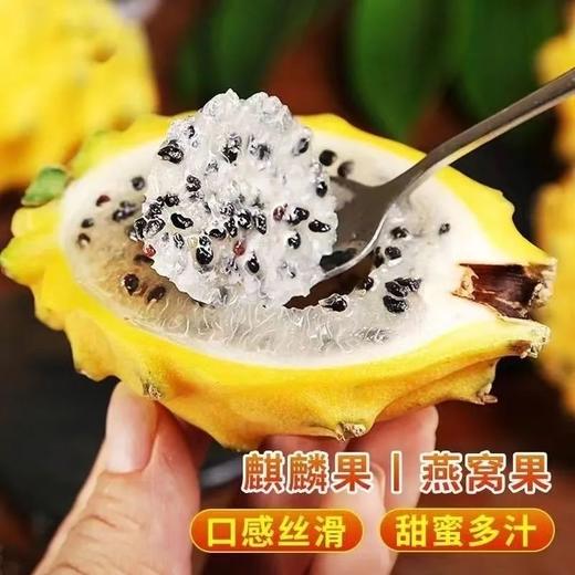【超好吃！新鲜燕窝果5斤更值】果肉细腻，清甜多汁，咬一口就爱上！整箱麒麟果应季孕妇甜热带水果黄皮白心火龙果 商品图0
