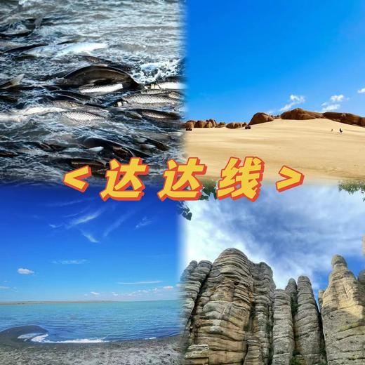 五一4天【达达线 立减40元】华子鱼洄游奇观の山戎部落贡格尔草原-玉龙沙湖-石林-达里湖-大青山 商品图1