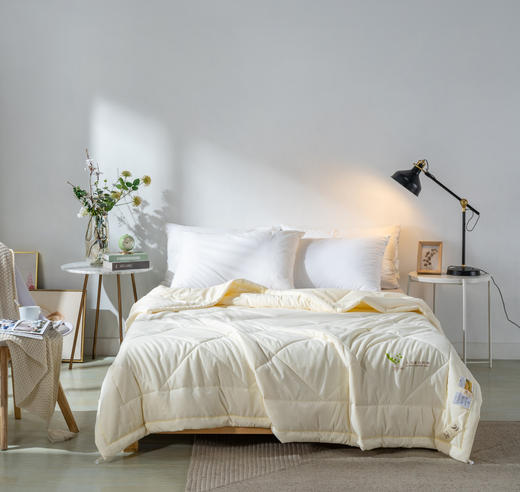 【远梦】大豆亲肤夏凉被 商品图1