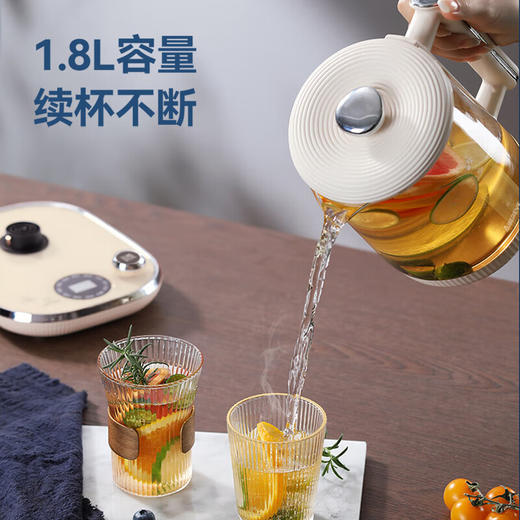 艾贝丽（Abereve）养生壶  1.8L多功能养生壶ABL-YSH37A 商品图2