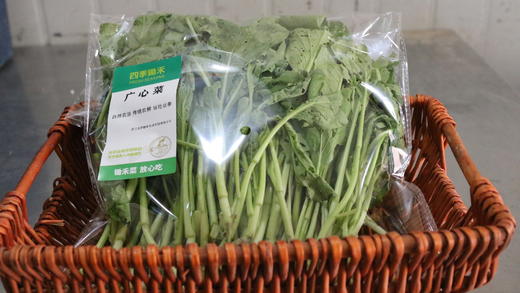 广心菜（400g） 商品图5