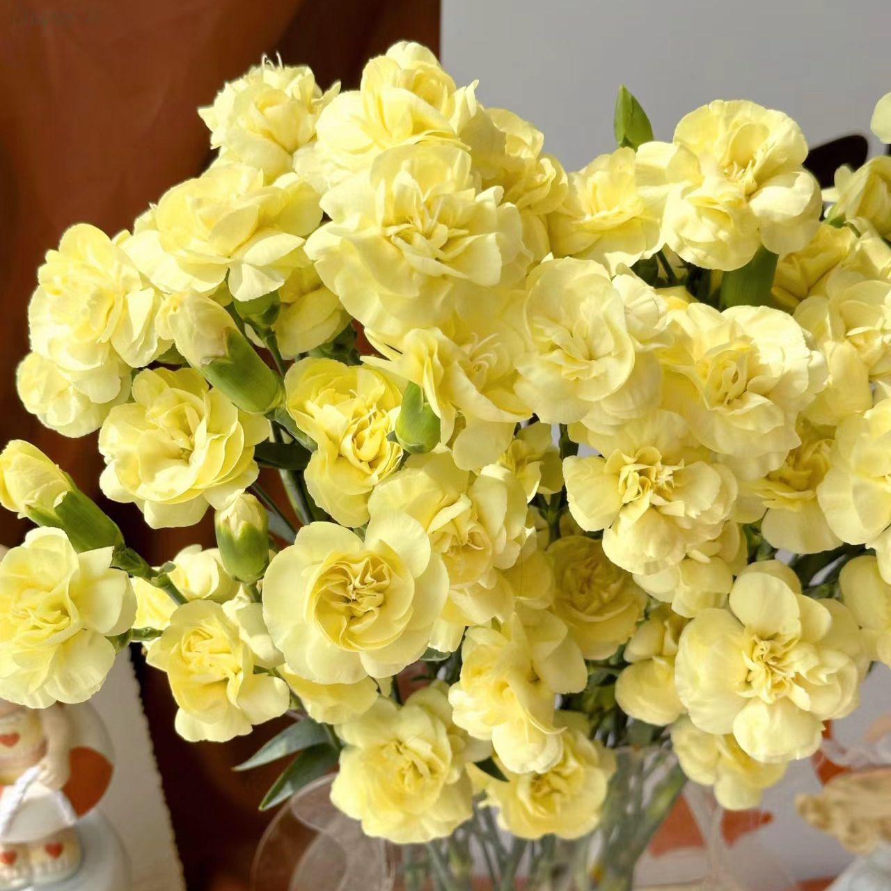 黄柠檬多头康乃馨丨20支