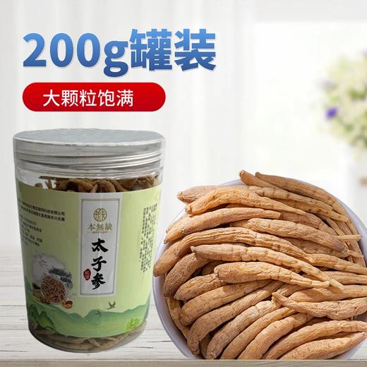 优质太子参-益气健脾，生津润肺 商品图0